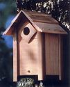 Small Nesting Box Bird House